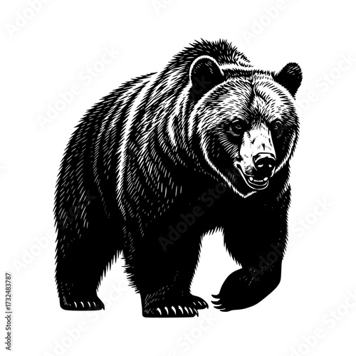 Vector art of black and white illustration of a bear standing upright