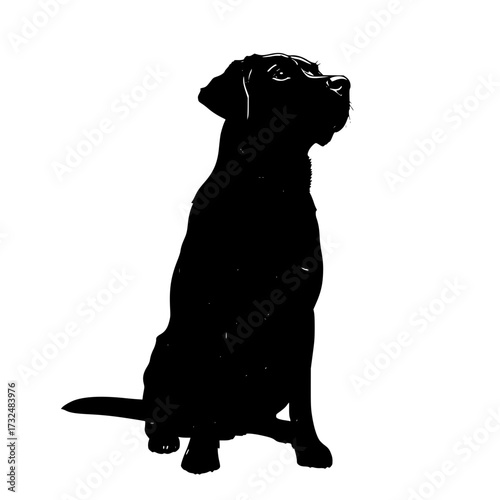 Vector art of black silhouette of sitting dog with pointed ears
