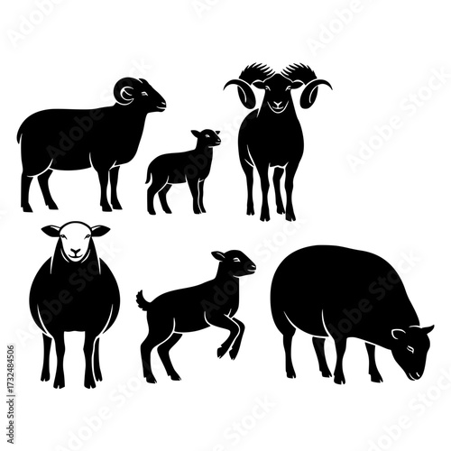 Vector art of black silhouettes of various sheep breeds including rams and lambs
