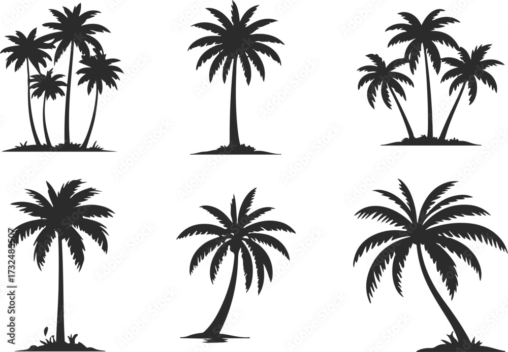 Obraz premium palm trees silhouettes