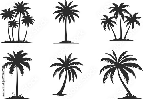 palm trees silhouettes