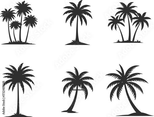 set of palm trees