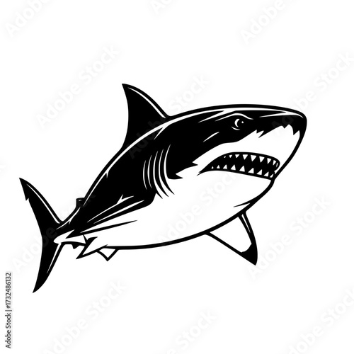 Vector art of black and white illustration of a great white shark