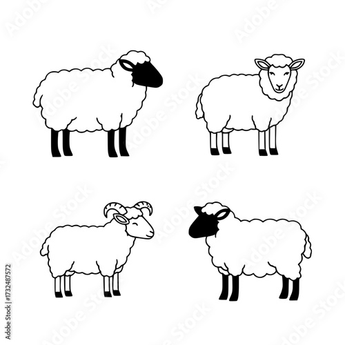 Vector art of four black and white sheep illustrations with different wools