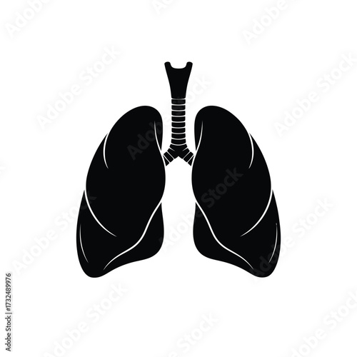 Black silhouette of human lungs and trachea on white background