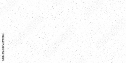 Terrazzo flooring texture polished marble stone background. white marble stones wall texture for background. Wall terrazzo texture gray and white of stone granite white background.	