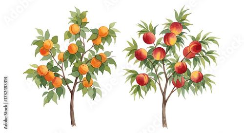 Two vibrant trees, laden with ripe, juicy fruits, represent the bounty of nature.