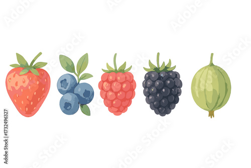 Delicious assortment of fresh garden berries including ripe strawberry, juicy blueberries, sweet raspberry, dark blackberry, and tart gooseberry