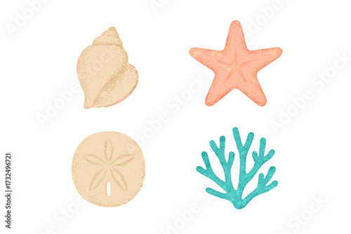 Detailed marine life collection featuring seashell, starfish, sand dollar, and coral on a clean white background