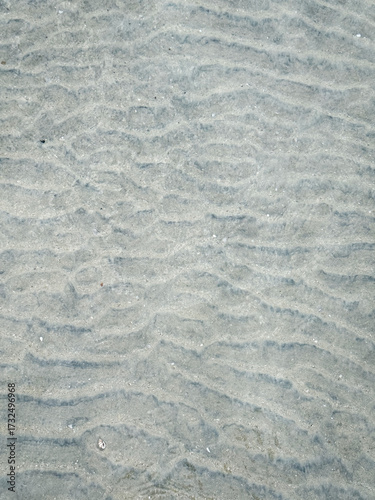 A close-up of shallow, clear water over sandy bottom with prominent ripple marks and a tiny seashell.