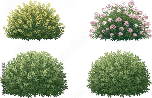 Bush illustration set, cartoon garden shrubs, floral foliage icons, nature clipart pack, landscaping elements, vector plant graphics, outdoor hedge design assets