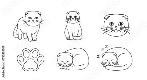 Charming collection of cute Scottish Fold cat illustrations showing various poses and expressions.