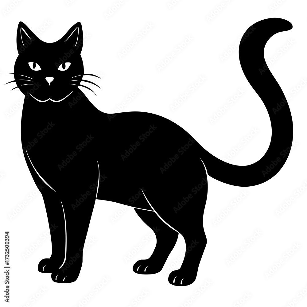 Obraz premium black and white cat