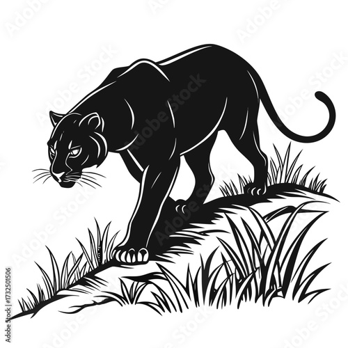 wild animal vector illustration