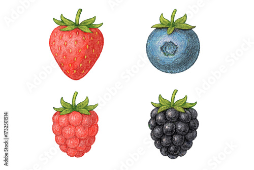 Delicious assortment of fresh garden berries including strawberry, blueberry, raspberry, and blackberry varieties
