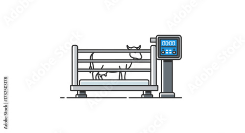 Modern illustration of cow weighing scales, showing livestock management