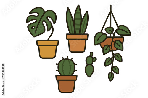 Diverse collection of popular potted houseplants and succulents for modern interior decoration and botanical themes