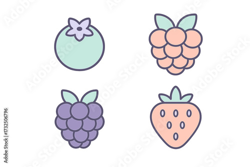 Colorful berry fruit collection featuring blueberry, raspberry, blackberry, and strawberry, presented in a vibrant and fresh style