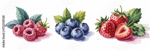 A vibrant collection of fresh raspberries, showcasing their plump, juicy texture and rich red hue, perfect for culinary use or as a colorful decoration in any setting.