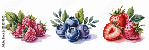 A beautifully illustrated arrangement of vibrant blueberries accompanied by fresh green leaves, highlighting their natural beauty and nutritional benefits in a compelling way.
