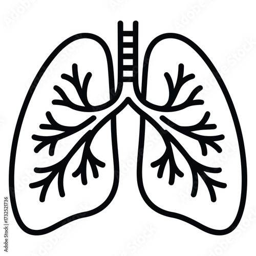  Simple line art illustration of human lungs and bronchial tree anatomy