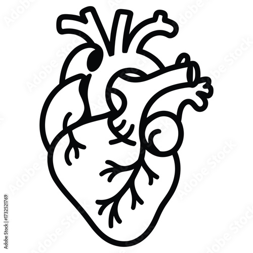  Stylized outline of a human heart with major arteries and veins