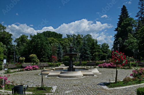 A beautiful relaxation area with a bench, a fountain and multi-colored bushes in bloom in the rose garden, Sofia, Bulgaria 