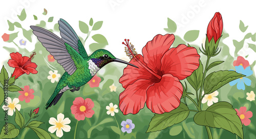 Detailed vector illustration of a green hummingbird feeding on a vibrant red hibiscus flower in a lush garden, isolated on transparent background. svg.