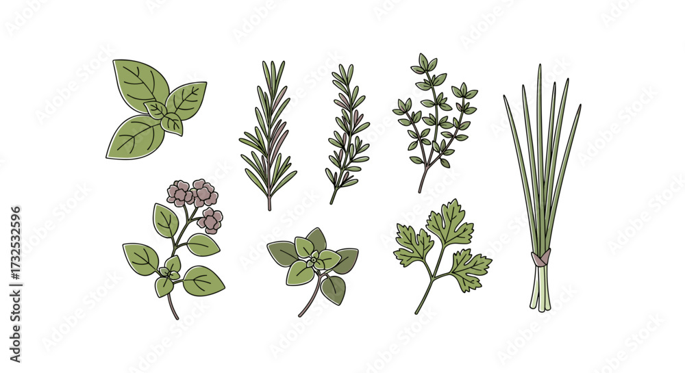 Naklejka premium Collection of fresh aromatic culinary herbs, perfect for cooking and healthy seasoning and garnish, isolated on transparent background, vector illustration, svg.