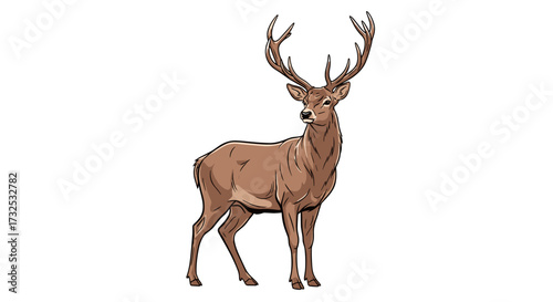Majestic wild red deer stag with large antlers standing gracefully, a detailed vector illustration SVG isolated on transparent background.