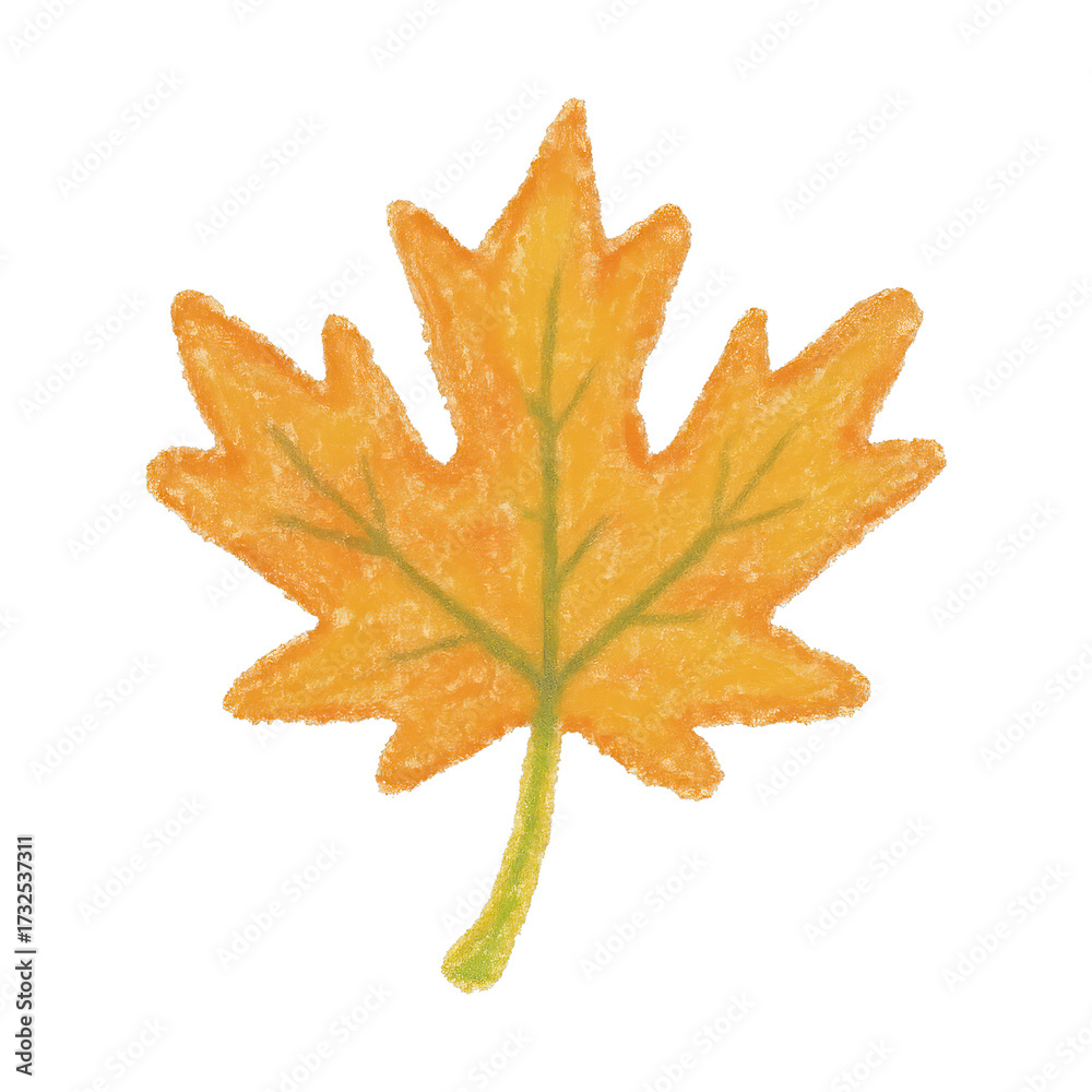 Fototapeta premium PNG Vibrant autumn maple leaf illustration.
