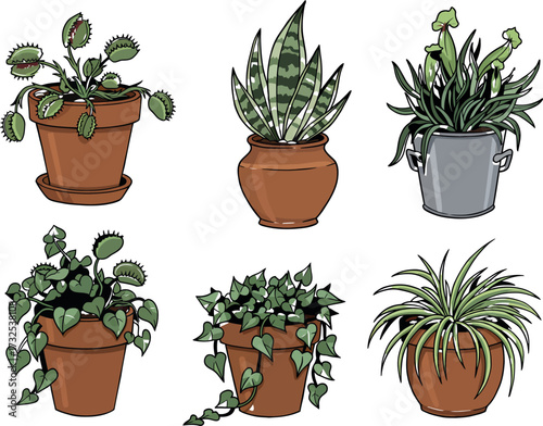 Collection of Potted Houseplants: Carnivorous, Snake, Pitcher Plants