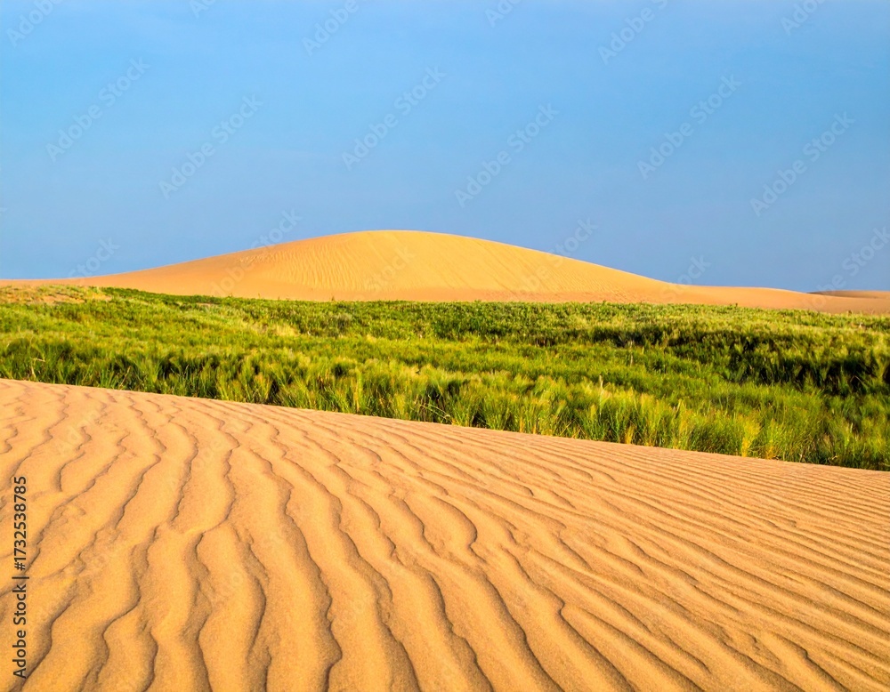Naklejka premium Desert Landscape: An expansive desert landscape, the sun-kissed sand dunes roll towards the horizon, punctuated by a swathe of vibrant green, under the backdrop of a clear blue sky.