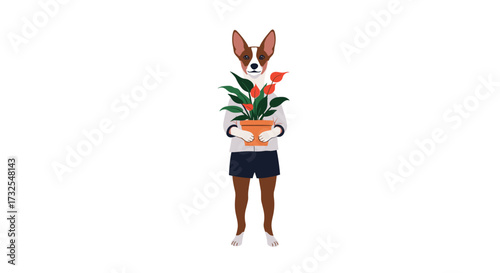 A dog wearing clothes holds a potted plant with orange flowers in its paws.