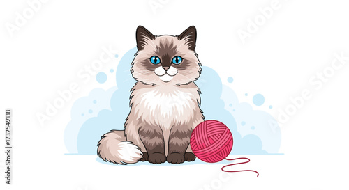 A fluffy ragdoll cat with striking blue eyes sits patiently next to a ball of pink yarn on a light blue background.