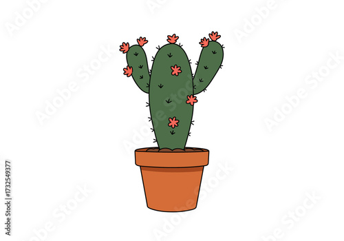 Cactus in a terracotta pot with flowers.