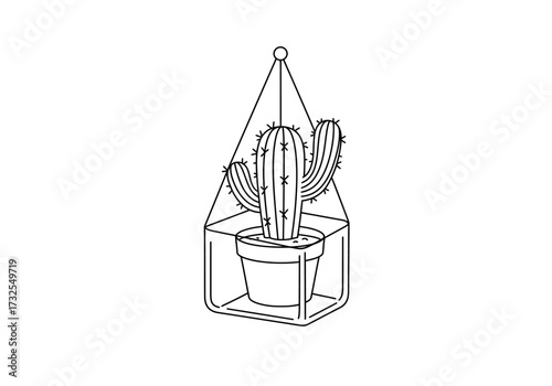 Cactus in Hanging Glass Terrarium.