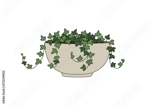 English Ivy in a Beige Pot.