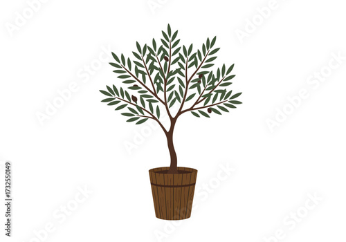 Olive Tree in a Brown Pot Simple Illustration.
