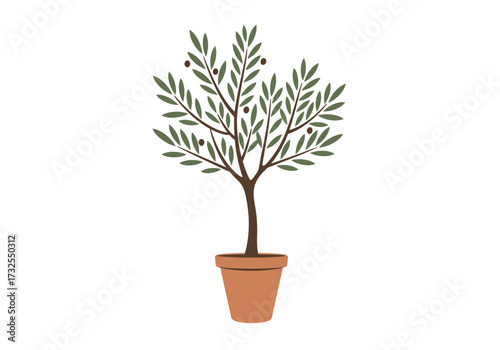 Potted Olive Tree Illustration.