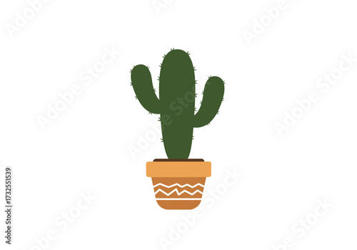 Cactus Plant in Pot Home Decor.