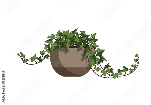 Potted Ivy Plant with Hanging Vines.