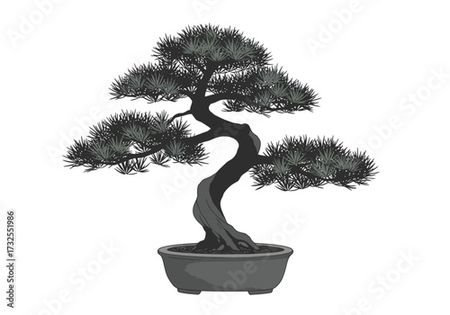 Japanese Bonsai Tree in Grey Pot.