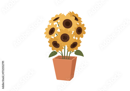 Sunflowers in a terracotta pot vibrant yellow.