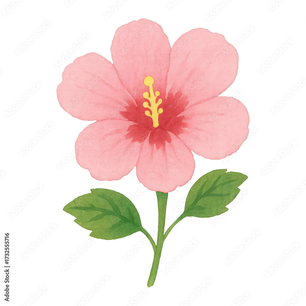 Obraz premium PNG Vibrant pink hibiscus illustration