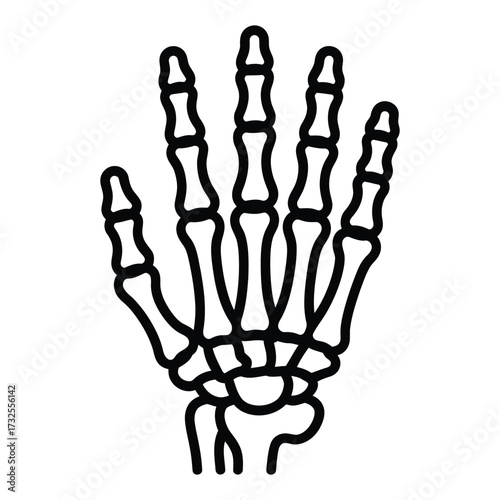 Detailed outline of a human skeleton hand with visible bones and joints