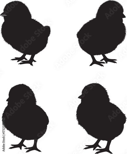 Four cute baby chick silhouettes standing together