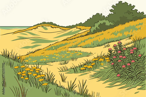 Indiana Dunes National Park Fields in Indiana, dune-side meadows with wildflowers near sandy shores