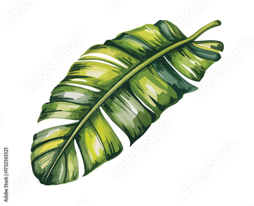 Fresh green cucumber slices on a white background isolated, a healthy vegetable and raw ingredient for a vegetarian salad or diet