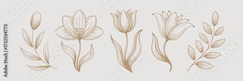 This set of stunning flower illustrations features delicate line art in gold, perfect for adding a touch of elegance and sophistication to various design projects and artworks.
